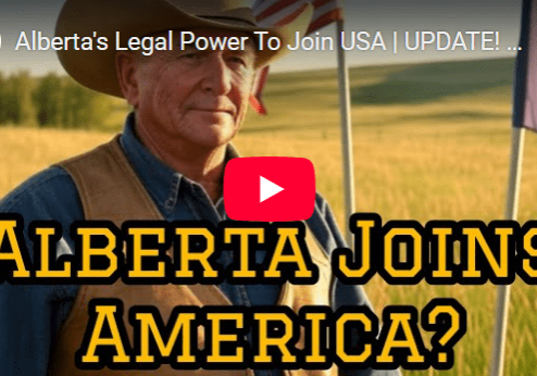 A man in cowboy hat with flag and text that reads " berta joi america ?"